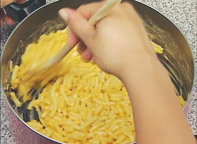 Look 'n Cook